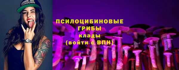 индика Арсеньев