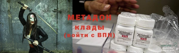 индика Арсеньев