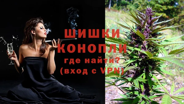 индика Арсеньев