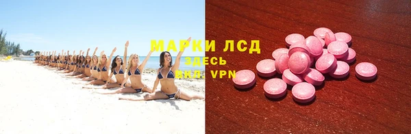 индика Арсеньев