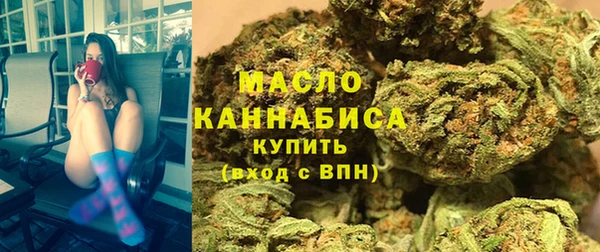 индика Арсеньев