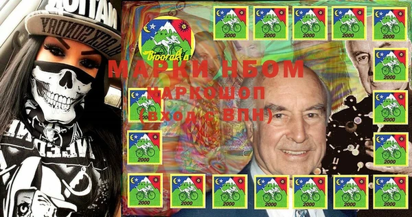 индика Арсеньев