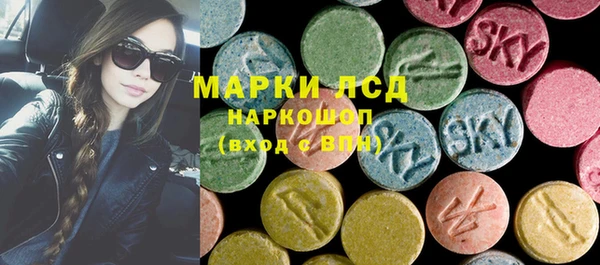 индика Арсеньев