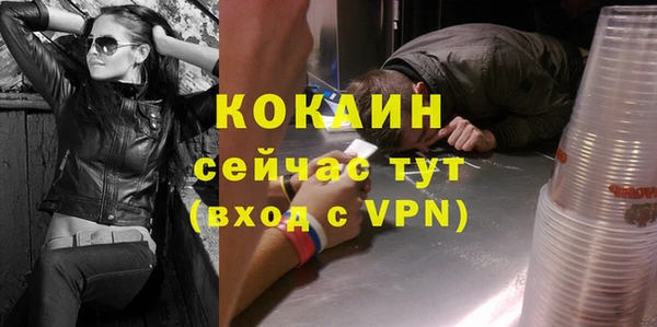 индика Арсеньев